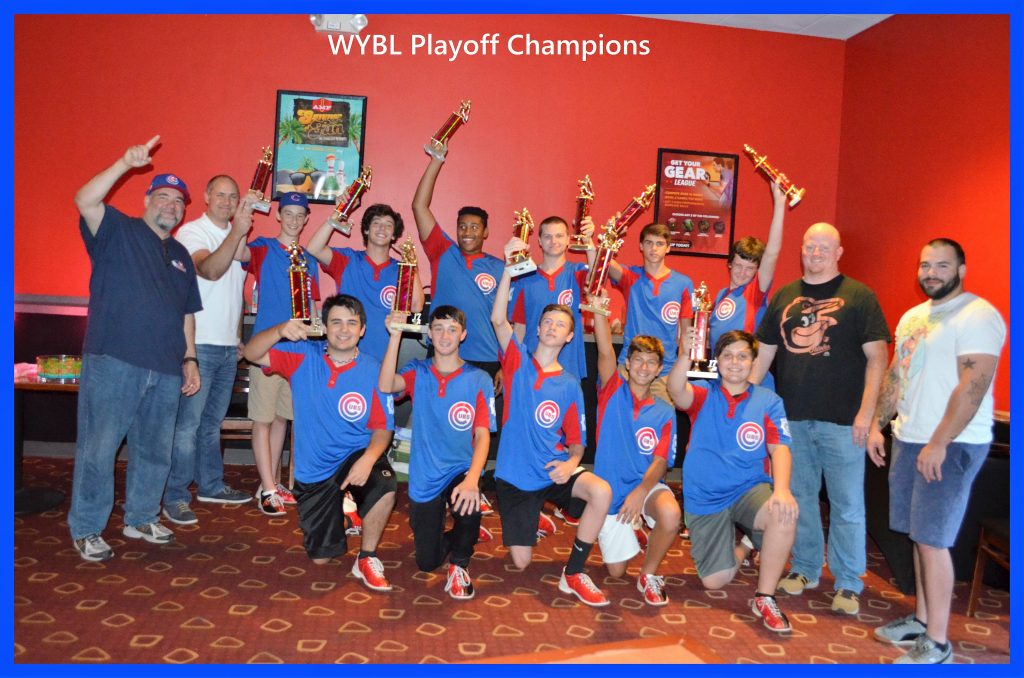 Williamsburg Youth Baseball League 2017 Championship Winners